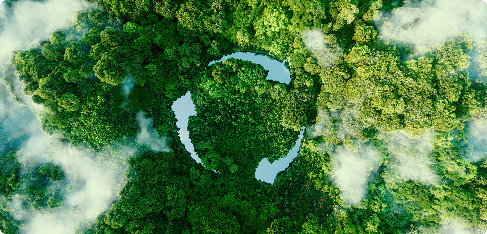 Zhejiang Fangyuan Nuevo Material Co., Ltd.